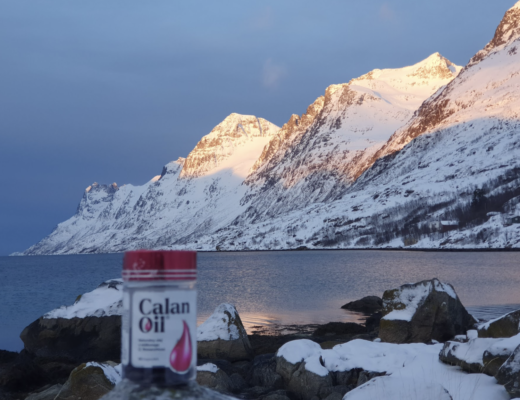 Źródło kwasów omega-3 w suplemencie diety